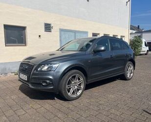 Audi Audi Q5 3.0 TDI DPF S tronic quattro S-Line Plus Gebrauchtwagen