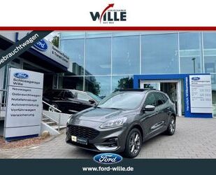 Ford Ford Kuga ST-Line Panorama/ Techno-/Fahrerassisten Gebrauchtwagen