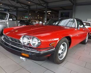 Jaguar Jaguar XJS V12 - 5.3 Convertible Gebrauchtwagen