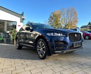 Jaguar Jaguar F-Pace F-PACE Pure Gebrauchtwagen