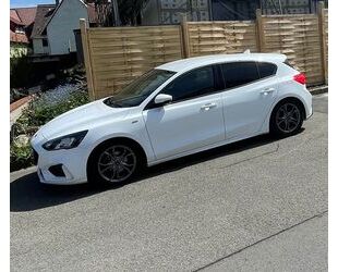 Ford Ford Focus 1,0 EcoBoost 92kW ST-Line Auto ST-Line Gebrauchtwagen