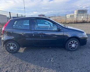 Fiat Fiat Punto 1.2 8V Trofeo Gebrauchtwagen