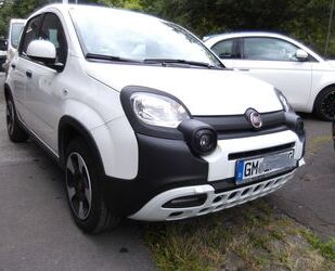 Fiat Fiat Panda City Plus Mild Hybrid 1.0 GSE 51KW Gebrauchtwagen