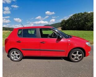 Skoda Skoda Fabia 1.2l TSI 63kW Active Active Gebrauchtwagen