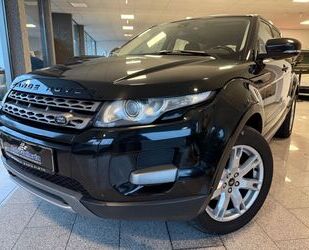 Land Rover Land Rover Range Rover Evoque Pure Automatik Leder Gebrauchtwagen