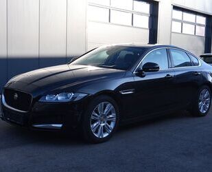 Jaguar Jaguar XF 2.0 Lim. Pure Bi-Xenon Panoramad. Autom. Gebrauchtwagen