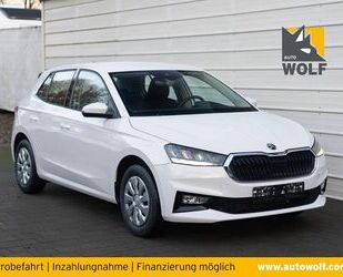 Skoda Skoda Fabia Selection 1.0 TSI *LED*SHZ*Climatronic Gebrauchtwagen