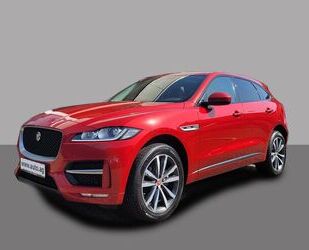 Jaguar Jaguar F-Pace 20D AWD R-SPORT PANO Gebrauchtwagen