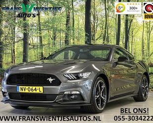 Ford Ford Mustang Fastback 5.0 GT California Special | Gebrauchtwagen