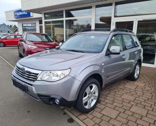 Subaru Subaru Forester 2.5X Automatik Gebrauchtwagen