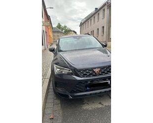 Cupra Cupra Ateca 2.0 TSI 4Drive DSG Brembo Pano Sport Gebrauchtwagen