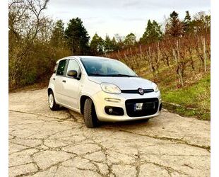 Fiat Fiat Panda, 8-fach bereift, 2. Hand, Scheckheft Gebrauchtwagen