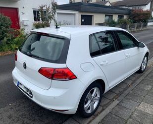 VW Volkswagen Golf 1.4 TSI 92kW Comfortline Comfortli Gebrauchtwagen