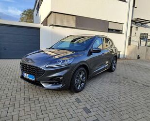 Ford Ford Kuga 2.5 Duratec FHEV ST-Line X CVT ST-Line X Gebrauchtwagen