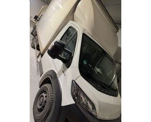 Fiat Fiat Ducato Gebrauchtwagen