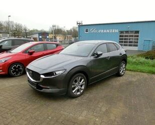 Mazda Mazda CX-30 SKYACTIV-G 2.0 M Hybrid Gebrauchtwagen