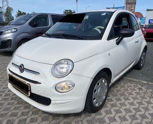 Fiat Fiat 500 Cult Facelift 52 kw/Mild Hibrid Gebrauchtwagen