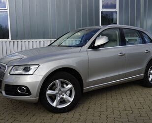 Audi Audi Q5 2.0 TDI*4x4*Bang & Olufsen*1 Hand*Bi-Xenon Gebrauchtwagen