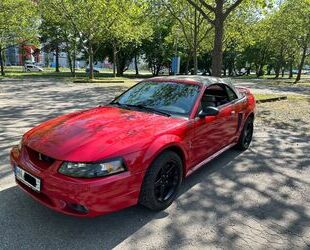 Ford Ford Mustang SVT Cobra Gebrauchtwagen