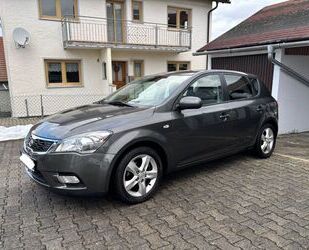 Kia Kia ceed / Ceed 1.6 CVVT Vision Gebrauchtwagen