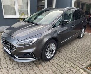 Ford Ford S-Max Vignale TDCi190 Auto Leder/Sony/AHK/Mas Gebrauchtwagen