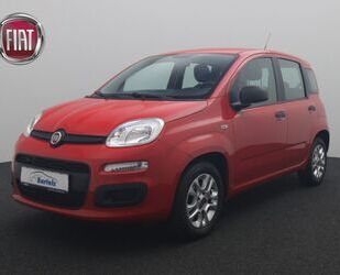 Fiat Fiat Panda 1.2 Easy KLIMA 1.HAND Gebrauchtwagen