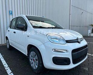 Fiat Fiat Panda 1.2 +ZAHNRIEMEN/TÜV/KLIMA/INSPEKTION+ Gebrauchtwagen