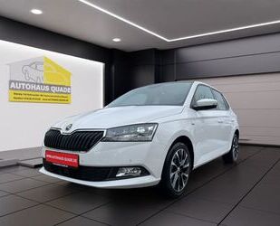 Skoda Skoda Fabia Drive 125 Best Of 1.0 TSI EU6d Gebrauchtwagen