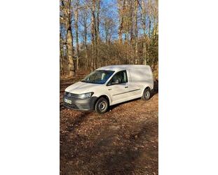 VW Volkswagen Caddy 1,6 TDI Maxi EcoProfi Gebrauchtwagen