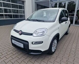 Fiat Fiat Panda MY24 Hybrid 1.0 GSE KomfortPaket*Blueto Gebrauchtwagen