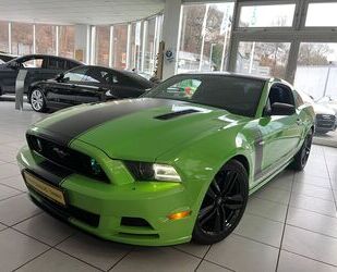 Ford Ford Mustang 5.0 GT V8 BOSS 302 Sondermodell Gebrauchtwagen