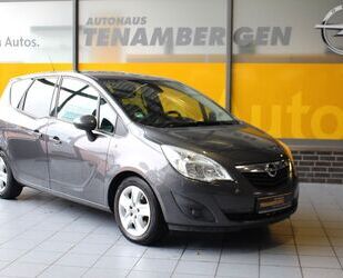 Opel Opel Meriva B Design Edition Allwetter AHK PDC Gebrauchtwagen