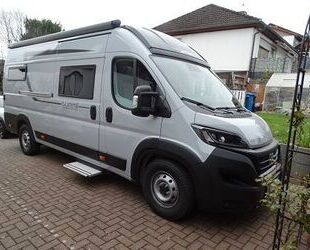 Fiat Ducato Gebrauchtwagen