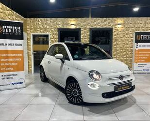 Fiat Fiat 500 Launch Edition/PANO/APPLE/KLIMA/TEMPOMAT Gebrauchtwagen