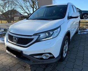 Honda Honda CR-V Lifestyle 2WD*2.Hd.*Xenon*Leder*Kamera* Gebrauchtwagen