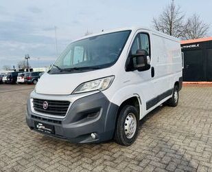 Fiat Ducato Gebrauchtwagen