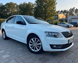 Skoda Skoda Octavia 2.0 TDI Ambition Ambition Gebrauchtwagen