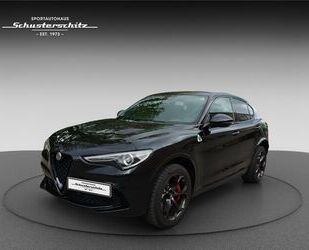 Alfa Romeo Alfa Romeo STELVIO V6 2.9 510PS QUADRIFOGLIO SEHR Gebrauchtwagen