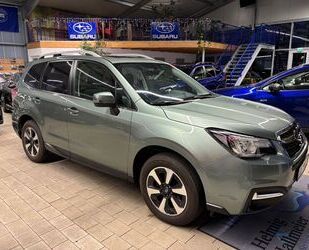 Subaru Subaru Forester Exclusive AHK Neue Reifen WR Gebrauchtwagen