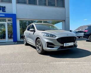 Ford Ford Kuga ST-Line X Gebrauchtwagen