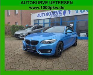 BMW BMW 230i Cabrio Luxury Line Kamera Leder Navi LED Gebrauchtwagen