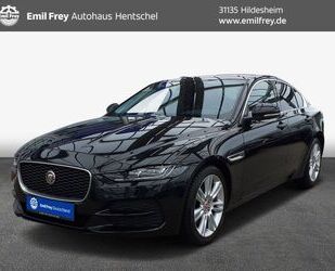 Jaguar XE Gebrauchtwagen