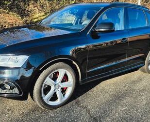 Audi Audi SQ5 3.0 TDI competition tiptronic quattro - Gebrauchtwagen