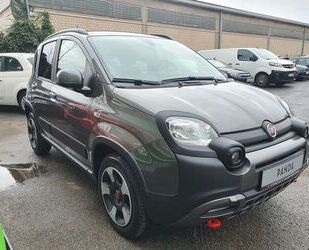 Fiat Fiat Panda Cross Hybrid 70 PS - versch. verfügbar Gebrauchtwagen