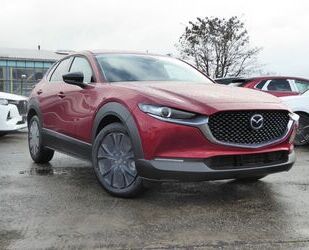 Mazda Mazda CX-30 2.0 e-SKYACTIV-X M-Hybrid Homura Gebrauchtwagen