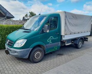 Mercedes-Benz Mercedes-Benz Sprinter 316 CDI 2.Hd Frisch eingetr Gebrauchtwagen