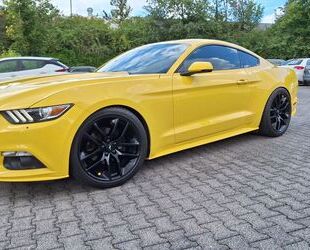 Ford Ford Mustang 2.3 EcoBoost - Gebrauchtwagen