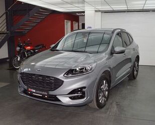 Ford Ford Kuga 2.5 Plug-In Hybrid ST-Line X Winterpaket Gebrauchtwagen