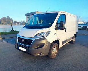 Fiat Fiat Ducato L1H1 Gebrauchtwagen