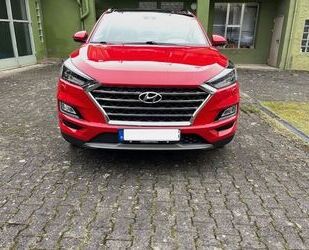 Hyundai Hyundai Tucson 1.6 T-GDI Trend 2WD Trend Gebrauchtwagen